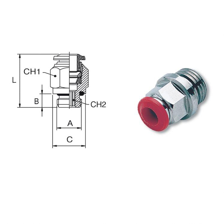 Male straight fittings with cylindrical thread AIGNEP 50020