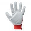 Cowhide grain leather gloves with back in stretch cotton knit