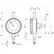 Dial Indicators centesimal Ø 60 TECLOCK